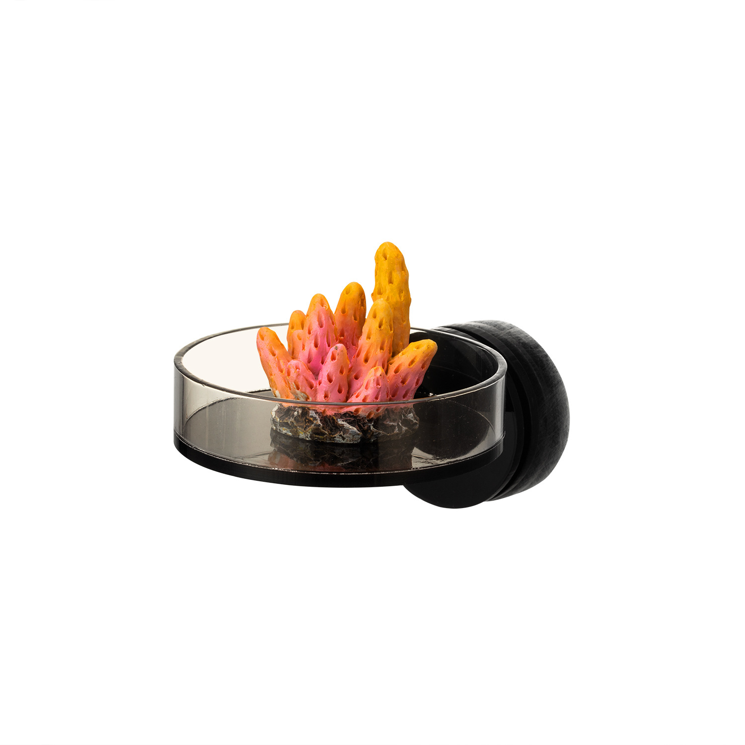 Aquarium And Marine - Marine Sources 70mm Black Magnetic Coral