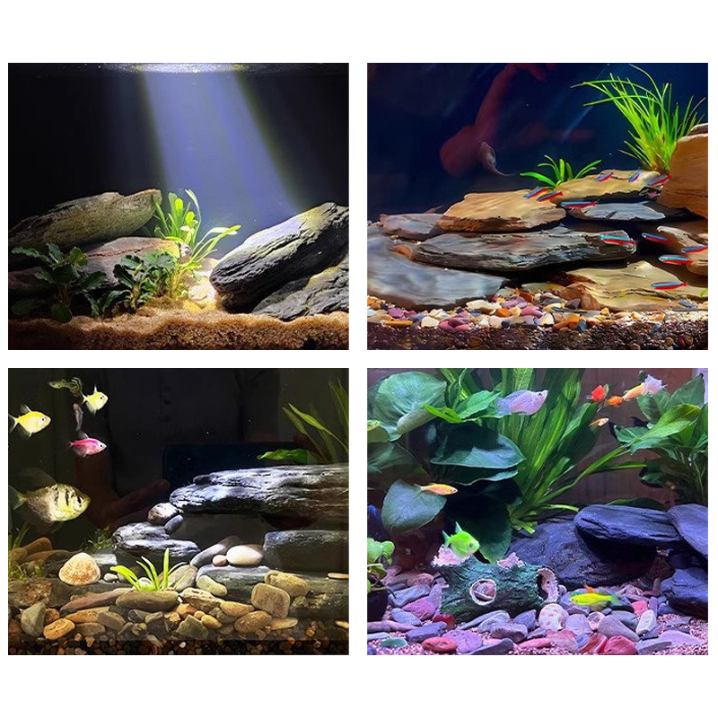 500/1000g Fish Tank Landscape  - Aquarium Marine Tank 评论和价格