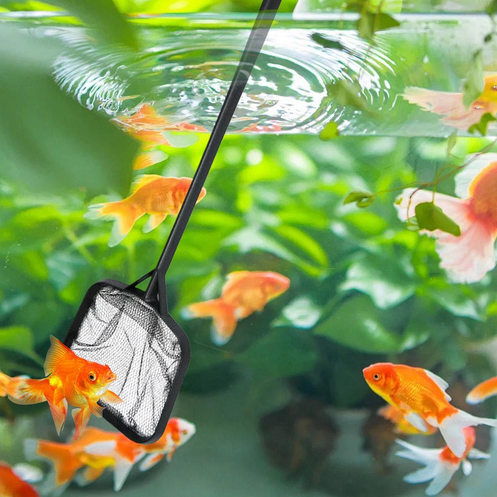 Pool Nets for Cleaning Portabl - Aquarium Marine 评论和价格