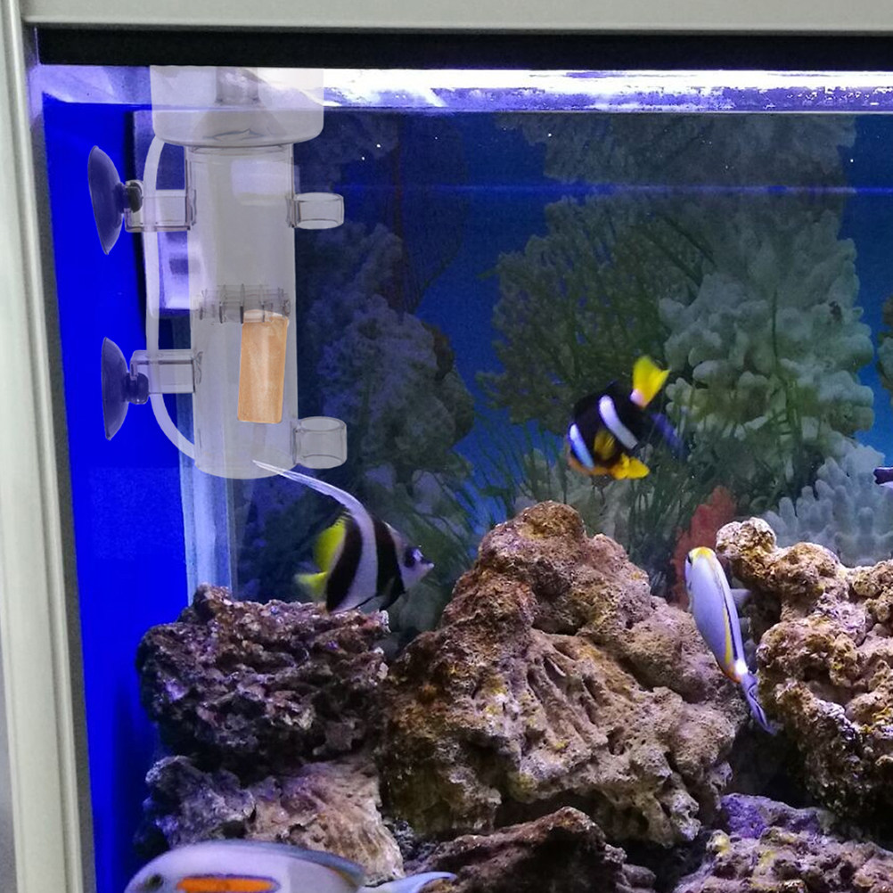 Protein Skimmer Acrylic Aquari - Aquarium Marine Tank 评论和价格