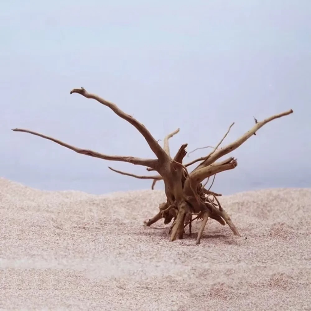 15-20CM Natural Driftwood Aqua - Aquarium Marine Tank 评论和价格