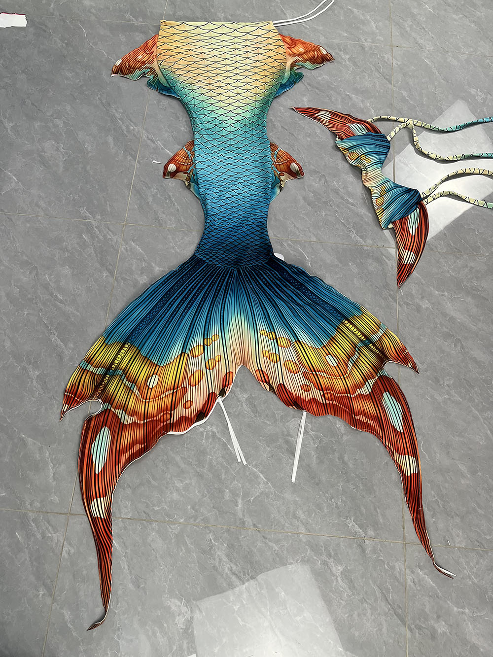 New Pattern Mermaid Tail Merma - Aquarium & Marine Museum Universiti Malaysia Sabah Kota Kinabalu Sabah 评论和价格