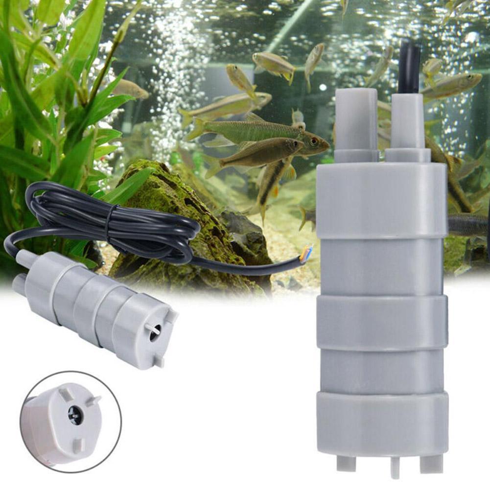 RV 12V Submersible Pump, 1000L - Aquarium & Marine Museum Universiti Malaysia Sabah Kota Kinabalu Sabah 评论和价格