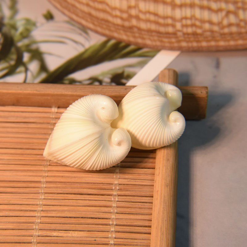 Natural Cardium cardissa Shell - Aquarium And Marine 评论和价格
