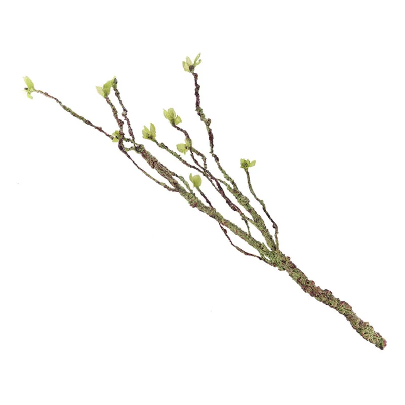 Vines Decor Climbing Branches  - Aquarium Marine Tank 评论和价格