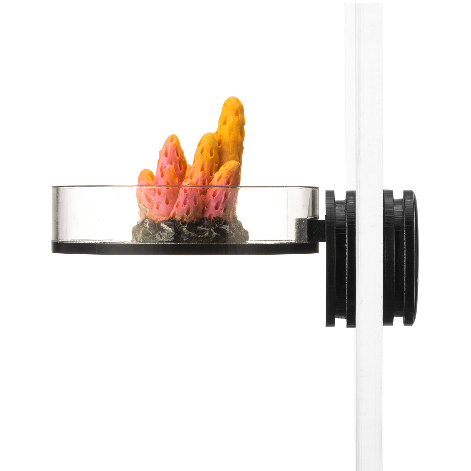 Marine Sources 70mm Black Magn - Aquarium And Marine 评论和价格