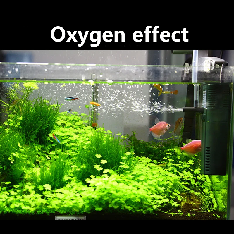 SUNSUN mini nano 111B 311B 611 - Marine Aquarium Reactors 评论和价格